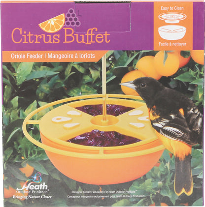 Citrus Buffet Oriole Feeder Orange