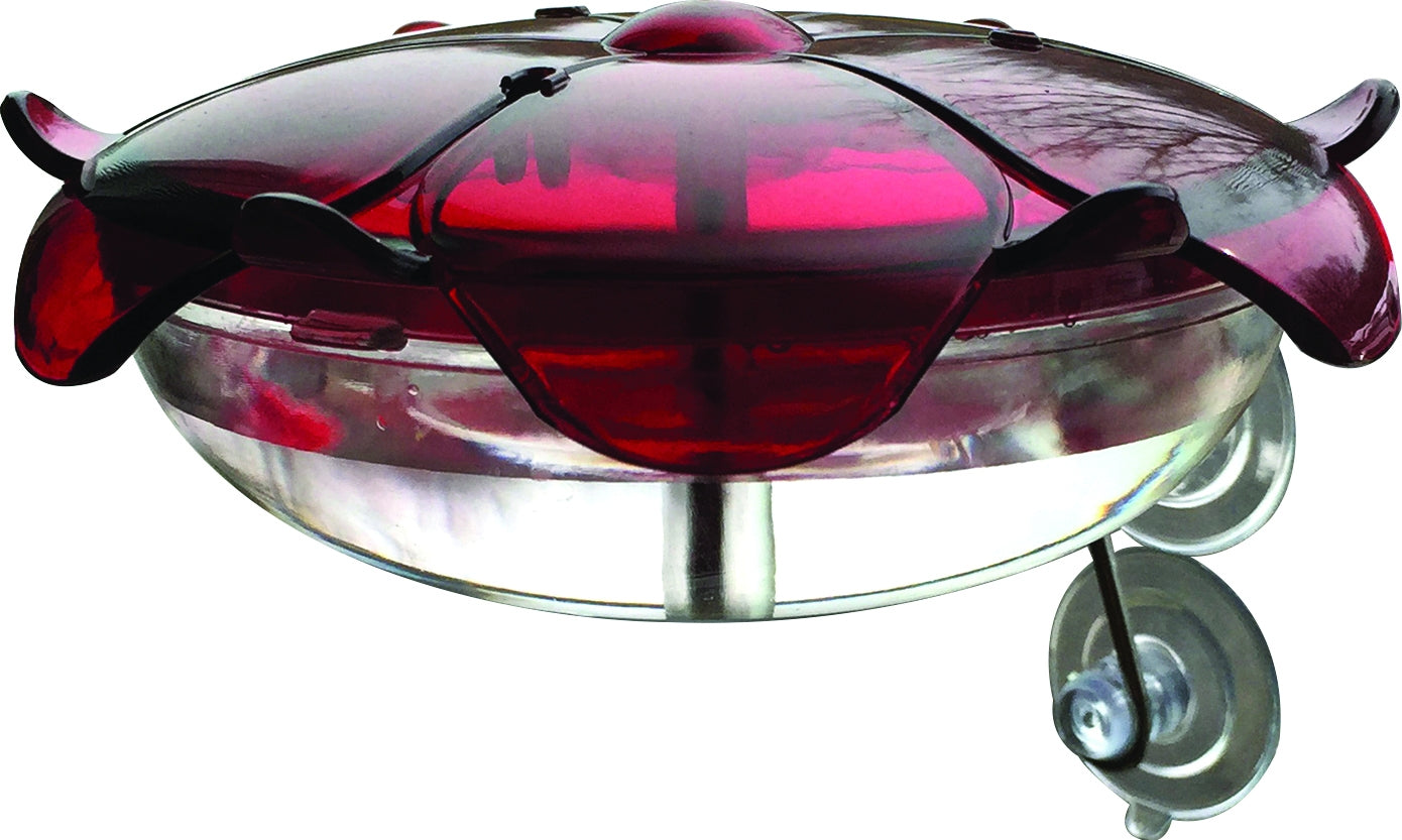 Droll Yankees Ruby Sipper Window Hummingbird Feeder