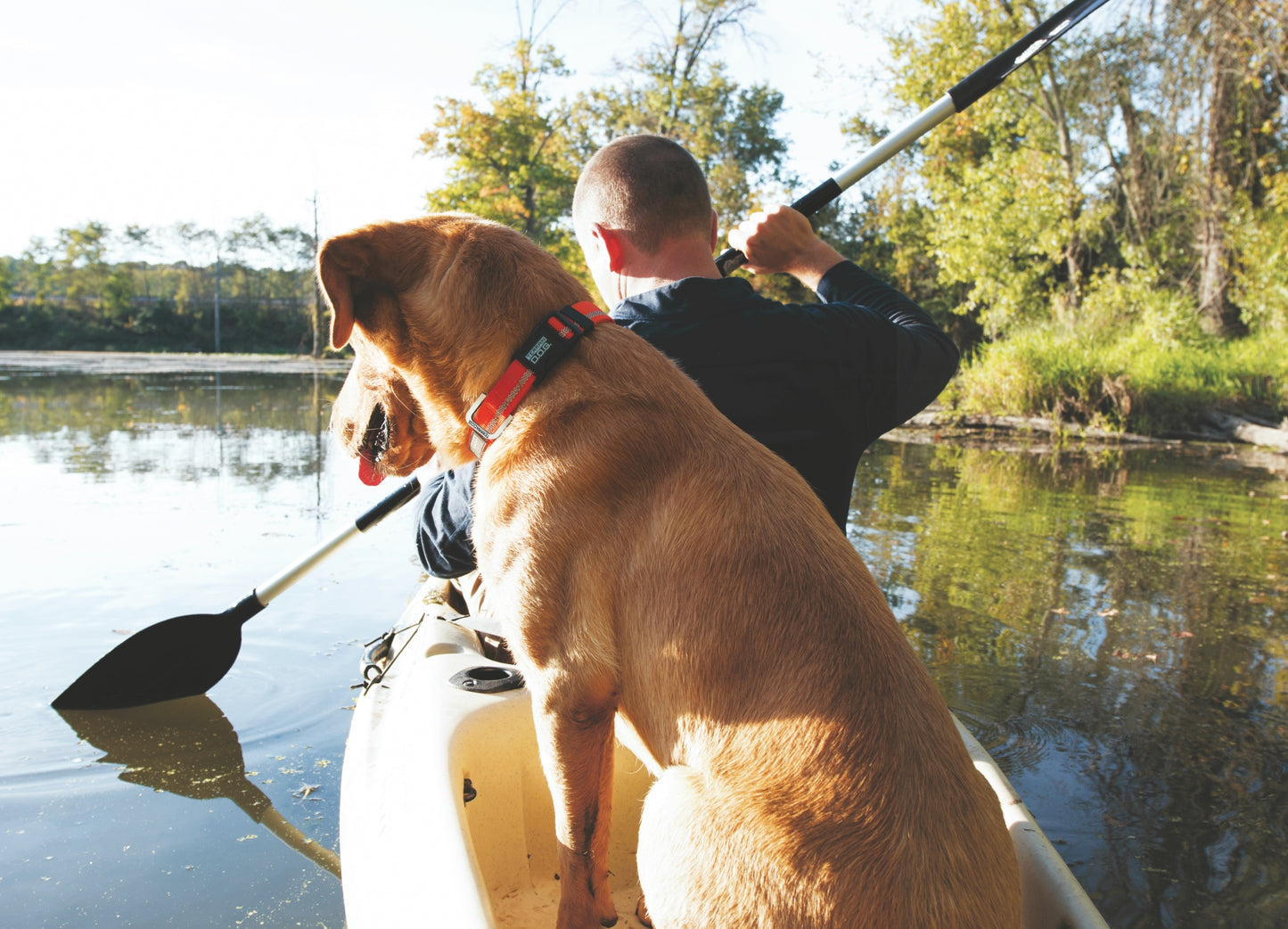 Weaver Terrain Dog Reflective Snap-N-Go Collar