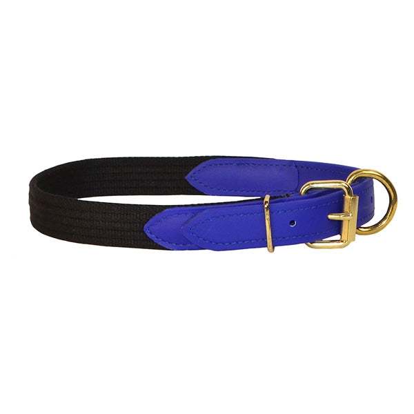 Perri's Beta/Cotton Dog Collar