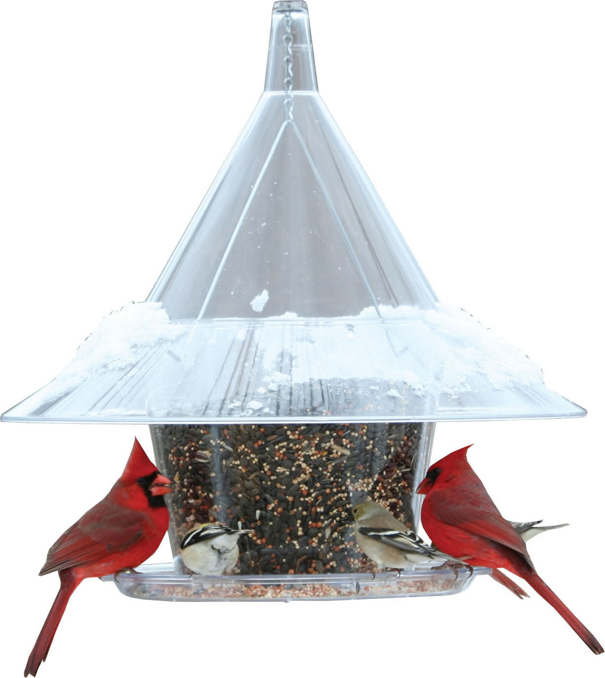 Arundale Sky Cafe Feeder