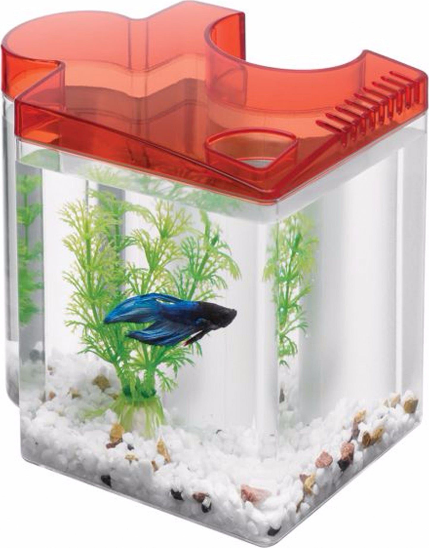 Betta Puzzle Kit