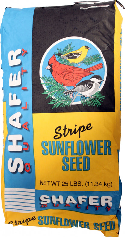 Sunflower Seed-Striped