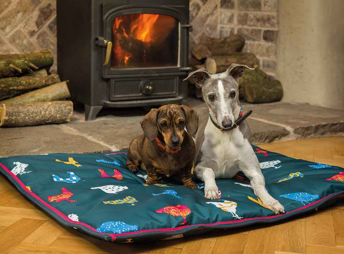 Shires Digby & Fox Waterproof Dog Bed