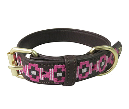 Halo Cam Leather Dog Collar