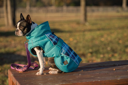 FITS Dog Coat - Blue Plaid/Turquoise