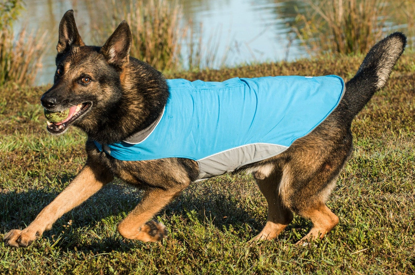 Baydog Saginaw Bay Fleece Dog Jacket