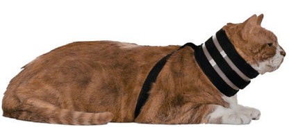 BiteNot Collar for Dogs and Cats