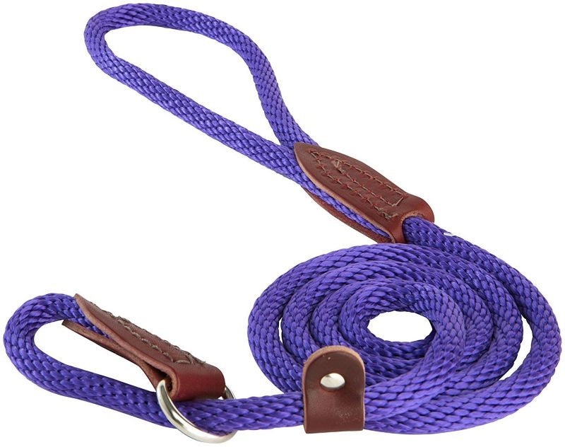 Slip Lead for Dogs 6 Foot Purple