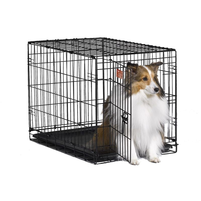 I-Crate for dogs