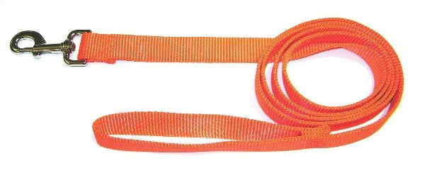 Hamilton 1'' Deluxe Single Thick Nylon Dog Lead Leash